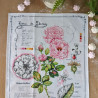 Tea towel - DAMASK ROSE