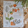 Tea towel - PHYSALIS