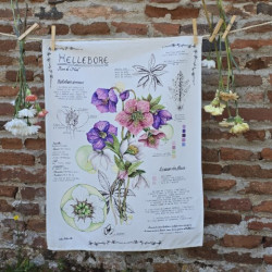 Torchon botanique - hellebore