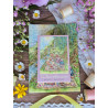 Spring Puzzle Box – 12 Mini Puzzles