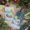 PACK TAROT +NAPPE de tirage - Murmure de la forêt