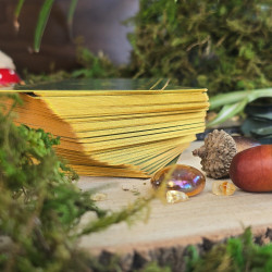 PACK TAROT +NAPPE de tirage - Murmure de la forêt