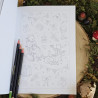 Colorie l'automne- livre de coloriage