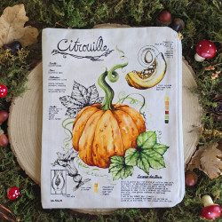 Pochette - Citrouille